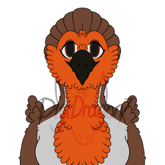 An anthro bird character with a robin colour scheme