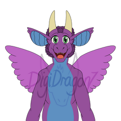 An anthro purple dragon with a blue belly and lighter purple fluffy wings